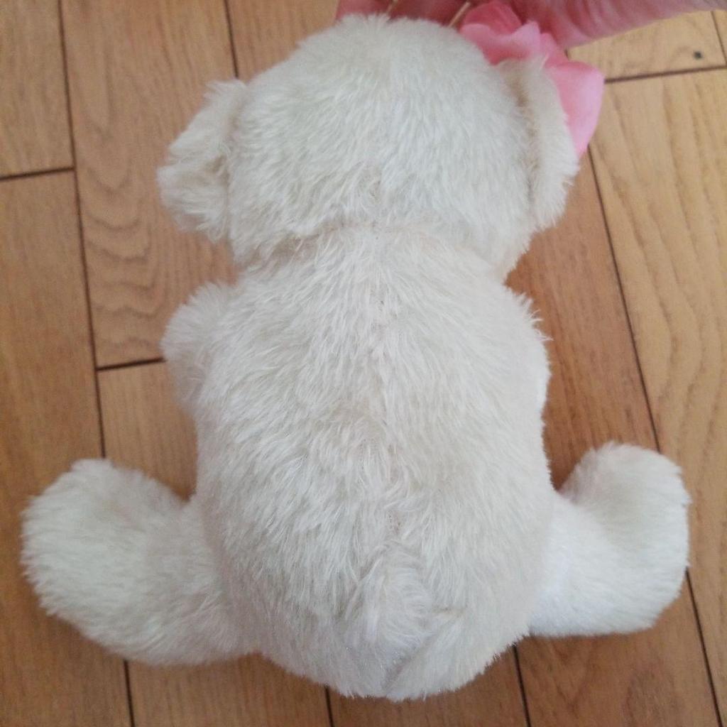 [USED] 3 Teddy Bears