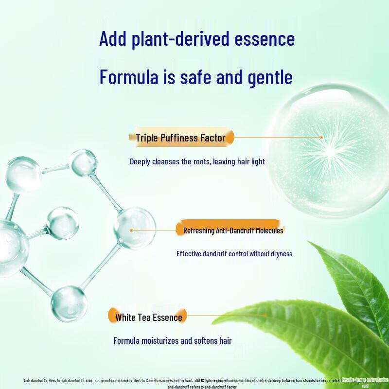 Rejoice Anti-Dandruff & Volumizing Shampoo