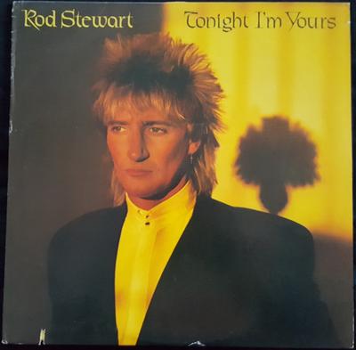 LP Schallplatte ROD STEWART - Tonight I'm Yours BSK3602 WARNER BROS 1981 US Rock Gebraucht