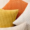 2PCS Popular Cross-Border Bubble Pillow Covers Cushion Covers, Corduroy Pillow Covers, High-End Pillow Covers, Waist Pillow for Home Sofa and Bedroom,