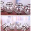 Thickened Glass Traditional Chinese Cupping Set - Health Care Vacuum Jars for Home Use