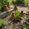 Rostiger Eisenblumen-Gartenpfahl Lange Pfähle Gebogener Blütenblatt-Pfahl Metall-Gänseblümchen-Pfahl Rasen Terrasse