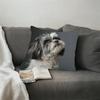 1 Stück Hundeliebhaber Shih Tzu Dekorative Kissenhülle, 2D-Druck Polyester Kissenbezug für Sofa Bett Auto Büro Heimdekoration