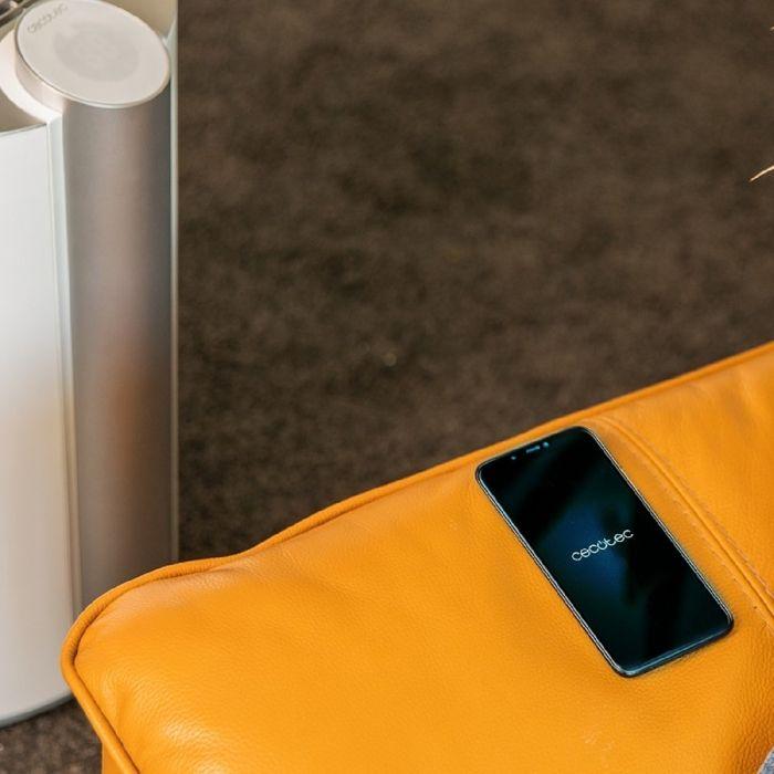 Cecotec Déshumidificateur BigDry 9000 Professional Connected