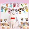 Adorable Cat Theme Birthday Party Decoration Set With Colorful Banners And Cake Toppers