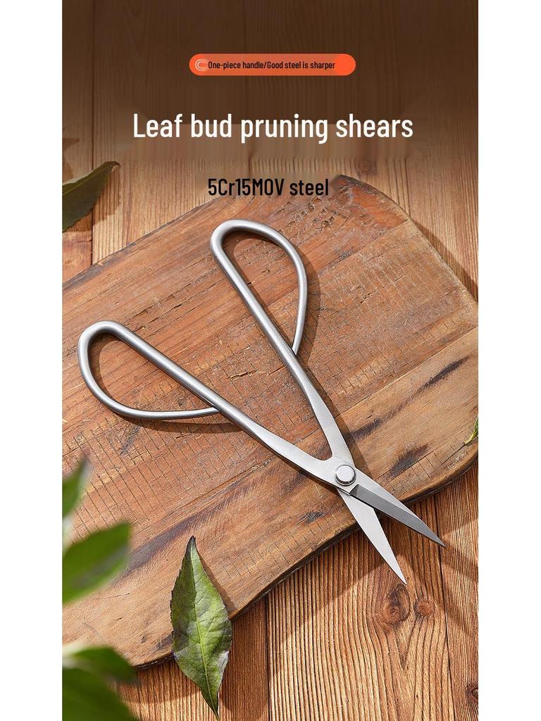 Tender Leaf All-Steel Pruning Shears: Floral, Bud, and Bonsai Scissors for Horticulture and Art