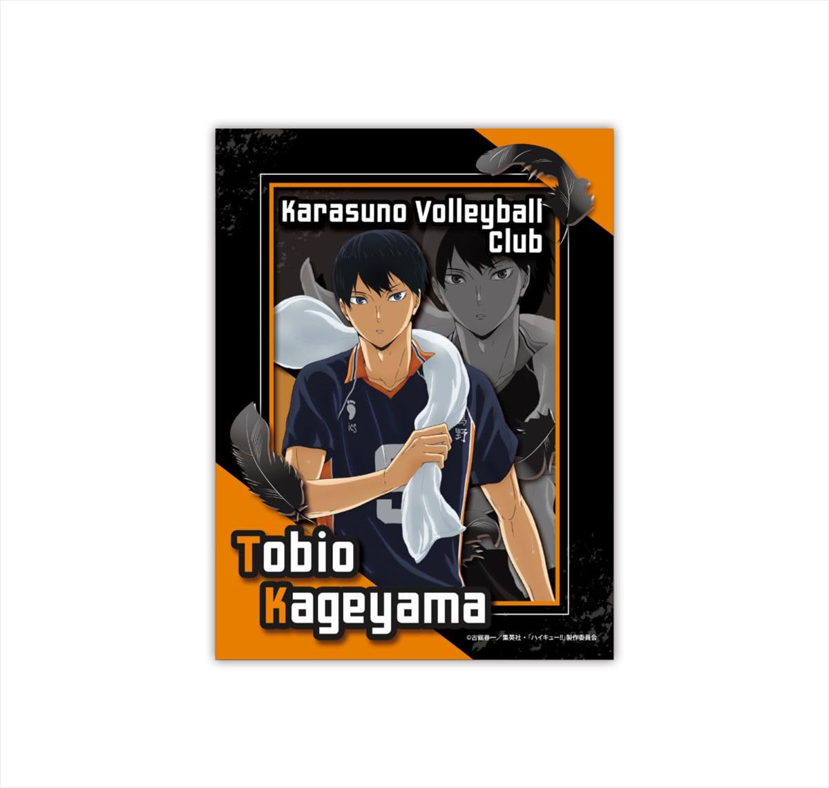 

Бумажное теневое искусство Мини Аниме [Хайкю] SA-M08 Тобио Кагеяма