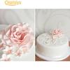 6 Pcs Fondant Cake Sugarcraft Rose Flower Cookie Mold