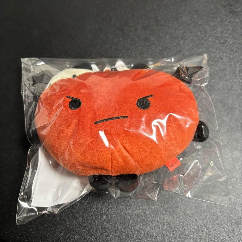 [USED] WAYV Yang Yang Ishin Reversible Plush Keyring
