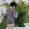 Korean Style Gray Seagull Quick-Dry Beach Swimsuit for Boys