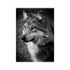 Black White Animal Wall Art Prints Unframed Modern Wild Lion Tiger Gorilla Posters for Living Room Bedroom Decor