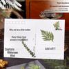 Flower Language Series PET Stickers – 6 Styles for Scrapbooking and Decoration