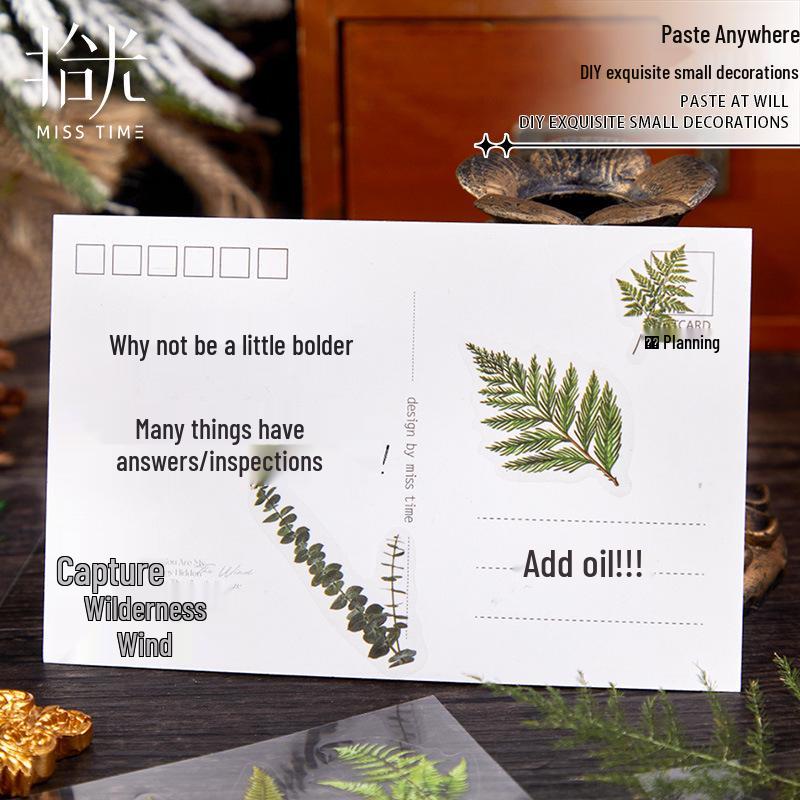 Flower Language Series PET Stickers – 6 Styles for Scrapbooking and Decoration