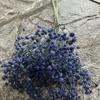 Gypsophila Realistic Plastic Wedding Bouquet Flower Bridal Party Staging Home