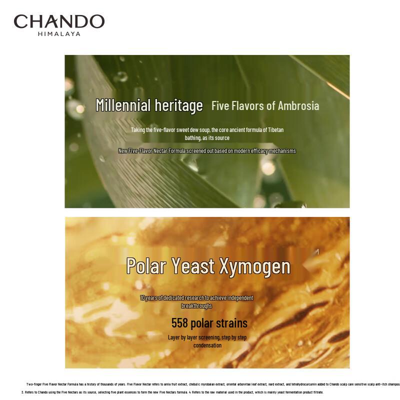 CHANDO Scalp Care Anti-itch Oil Control Shampoo