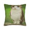 Double Sided Funny Meowl Meme Pillow Cover Cat Owl Brainrot Print Soft Cushion Case for Sofa Couch Bed Living Room Decor