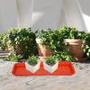 5Pcs Plastic Rectangular Plant Tray Base Light Brown Flowerpot Water Catcher Drip Saucer Planter Tray Indoor Outdoor Accessory