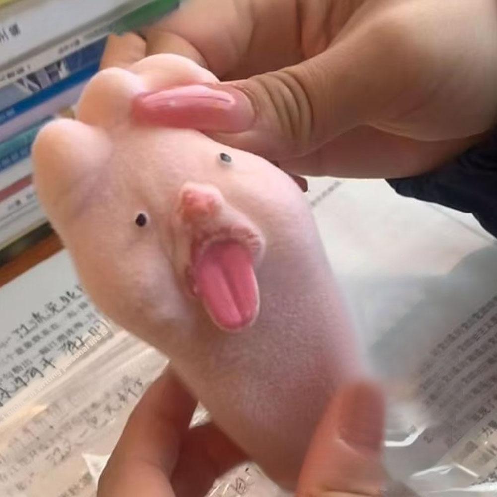 Spitting Tongue Big Feet Pinching Toy Relieving Stress Decompression Toy Venting L1T5