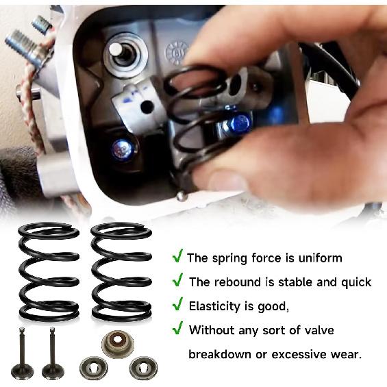 FVRITO Racing 18Lb Valve Springs Kit For Predator 196Cc 212Cc 224Cc Non Hemi GX160 GX200 6.5HP OHV Clone Engine Mini Bike CT200U BT200X Powerhorse