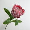 Large Artificial Artichok Flower Decoration High Quality Simulated Emperor Flower South African Bodhi Flower Wedding Home Decors