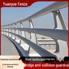 Carbon Steel Bridge Railing: Crash Barrier with Road Lighting for Overpass and River Landscape