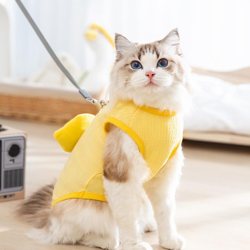 Frühlings- und Sommer-Katzenkleidung niedliche dreidimensionale Küken-Zugweste blaue Katze Kätzchen haarlos Katze atmungsaktive Haustierkleidung