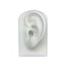 Ear Silicone Model Practice Body Piercing Teaching Tool Earring for Jewelry Display Can Be Reused 1:1 Simulation Human