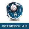 MLB LA Dodgers Glove Ball Park Park Outdoor Elementary School 9.5-inch & Play, Sports, Parent-Child Sports, Play,