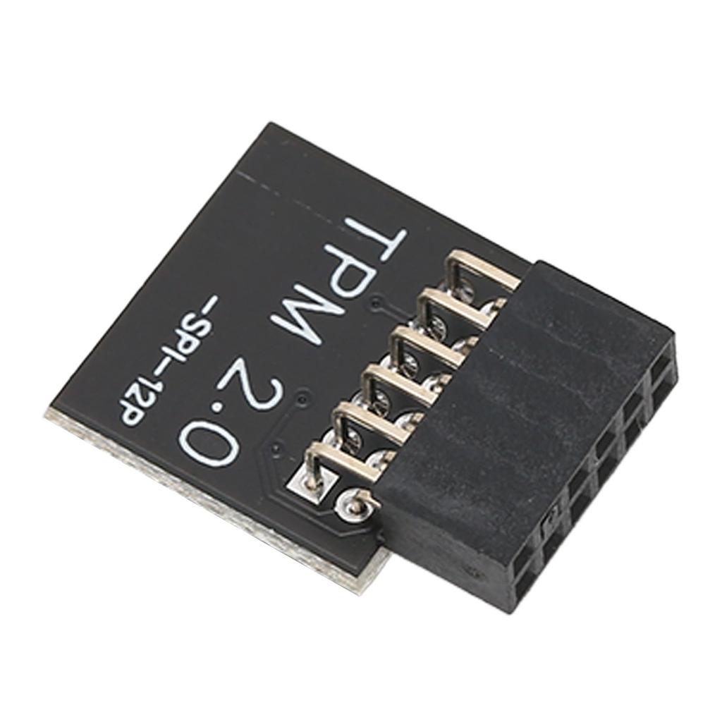 TPM2.0 Encryption Security Module for GIGABYTE Mainboard SPI 12Pin Security Module for WIN 11 2.0