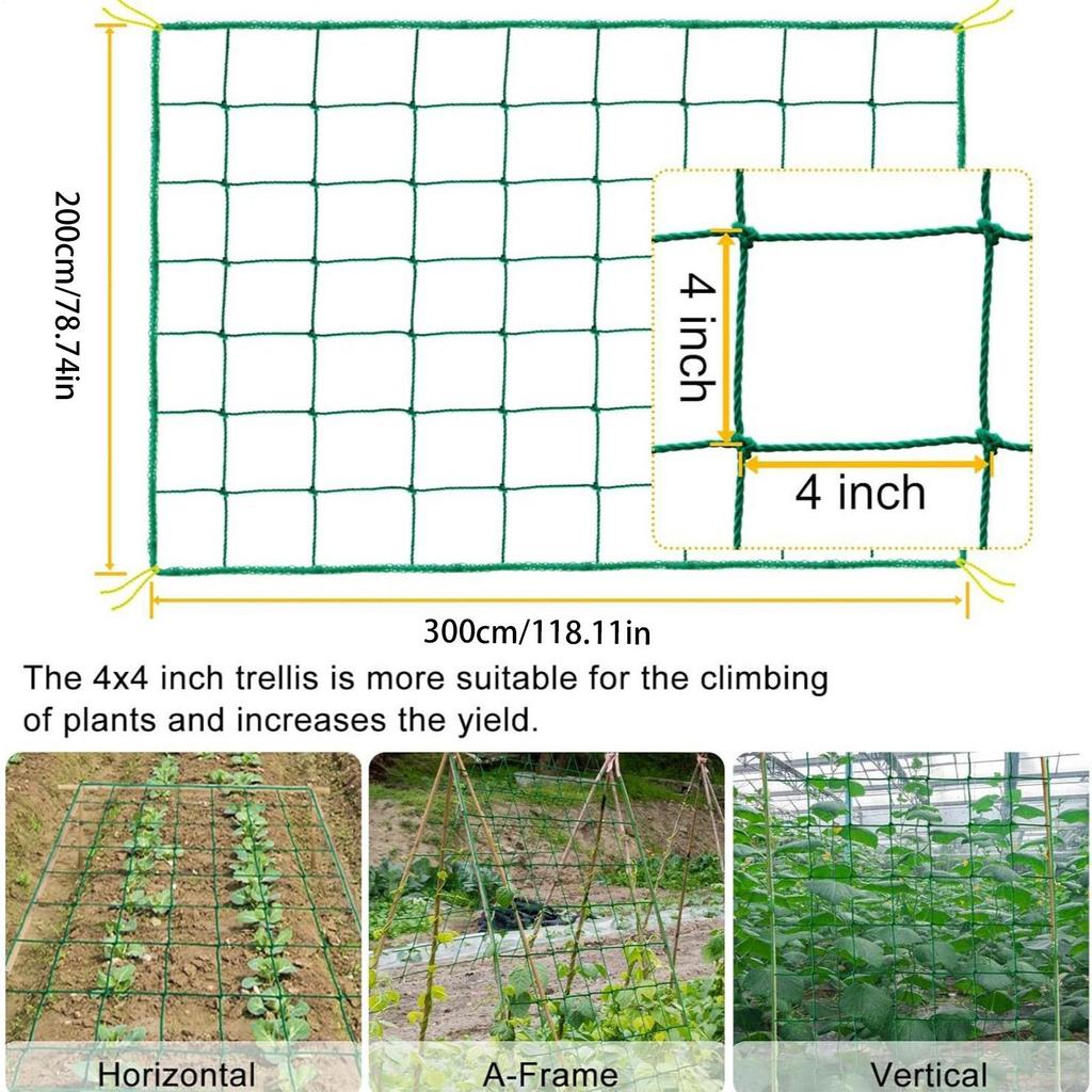 Garden Trellis Netting 27 Shares 300x200cm Cucumber Garden Netting Fruit Growth Protection Flower Square Grid Support Net