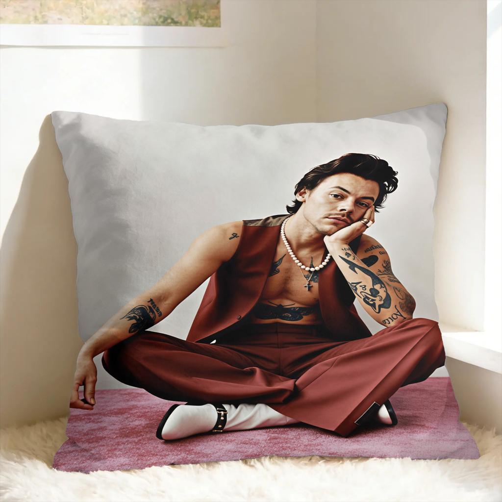 Singer H-Harrys S-Styles Kiss Al the Time Pillow Case Comfy Pillow Cover For Sofa Couch Bed Living Room Retro Trendy Pillowcase