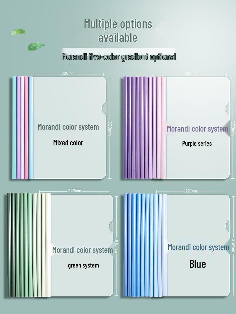 A4 Gradient Morandi Color Transparent Folder - Durable Clip for Exam Papers and Documents
