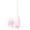 Remote Kegel Exerciser In 4 Colors