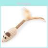 Cat Play Toy With Rope And Feather Mouse For Interactive Fun