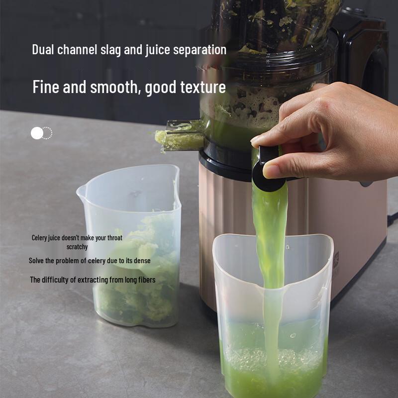 ZISIZ Wide Mouth Slow Juicer
