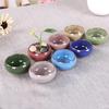 Korean Ice Crack Ceramic Succulent Planter with Drainage Hole