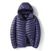 Men's Gray Lightweight Short Down Jacket - 2024 Autumn/Winter Trendy Casual Style