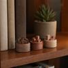 Yangyizhi Holz-Ätherisch-Öl-Diffusor, Buchenholz Aromatherapie Kleiner Runder Diffusor für Zuhause Büros Autos Yogaräume