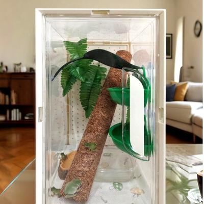 New Transparent Lizard Kennel Easy Clean Ventilated Spider Breeding Box PP and PET Multi-size Reptile Habitat Pet Supplies