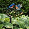 Vibrant Bird Ornament for Lawn Ground Stake, And Fruit Tree Shape, Waterproof Coating Thickened Realistic Painted Yard Decor Iron Outdoor Flower