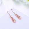 925 Sterling Silver  Moissanite Dangle Drop Earrings  For Women Pass Diamond Tester Bride Wedding  Earrings Fine Jewelry Gift