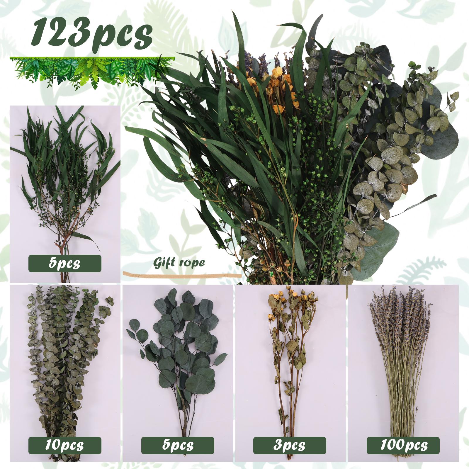 

25/123Pcs Mixed Real Dried Eucalyptus Stems Hanging Eucalyptus Lavender Bouquet Natural Preserved Eucalyptus Leaves Plant