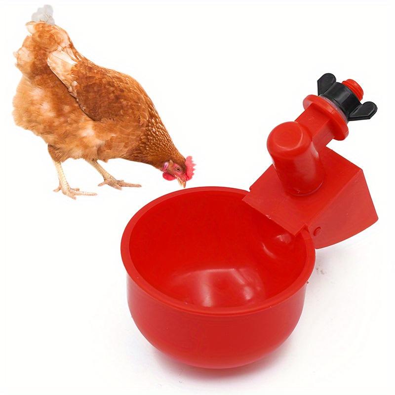 10Pcs Chicken Drinking Bowl Drinking Water Quail Poultry Automatic Water Dispenser Duck and Pigeon Free Range Chicken