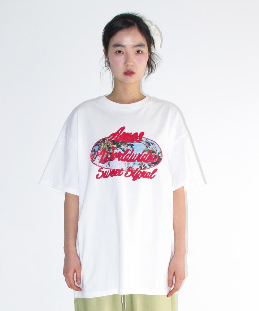 AMES-WORLDWIDE Palm Tree Oval Tee White