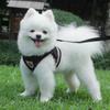 Safe Reflective Dog Harness + Leash Set (M/Black)
