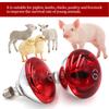 New Pet Reptile Heating Lamp Set Illumination E27 Heating Lamp Bracket Pet Light Bulb Bracket Lampshade Emission Lamps 220-240V