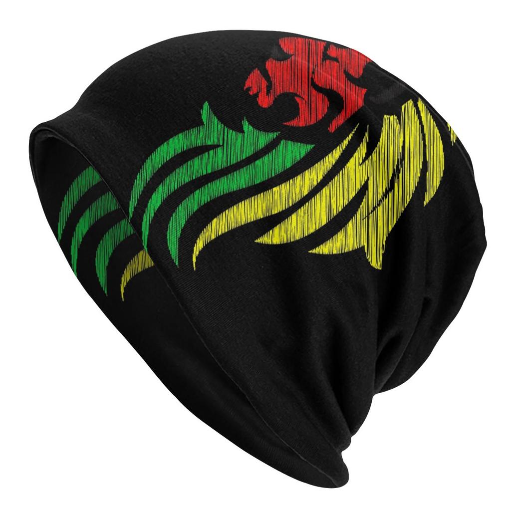 Winter Warm Lion Of Judah Reggae Rastafarian Flag Bonnet Femme Slouchy Beanie Hat Cool Ski Skullies Beanies Caps for Unisex Women