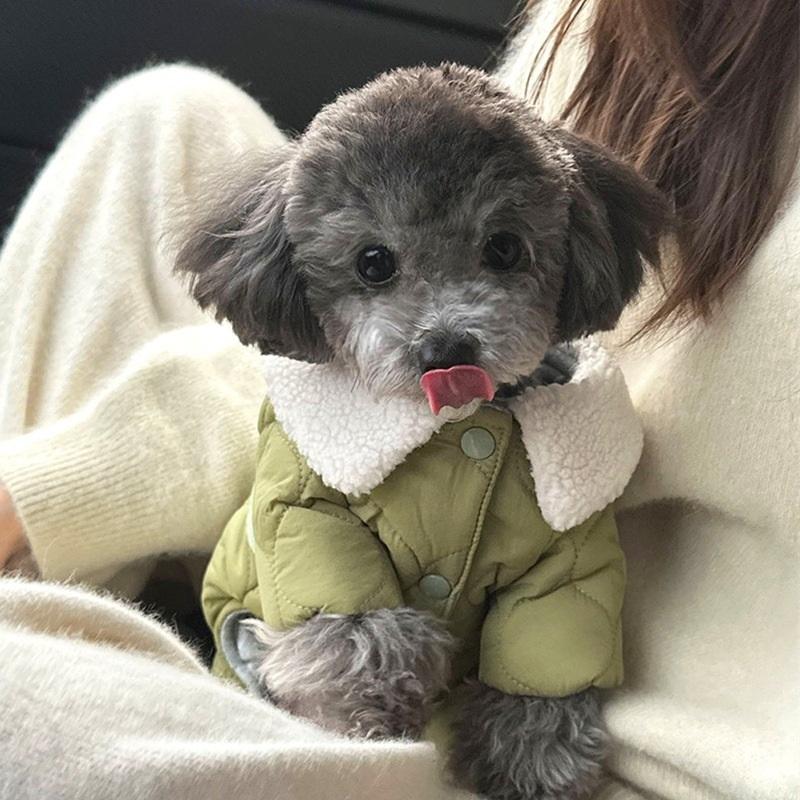 Winter Pet Four-legged Cotton Coat Teddy Bichon Pomeranian Small Dog Dog Clothes VIP Autumn And Winter Clothing
