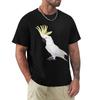 Cockatoo Tshirt Plus Size All Match Tee Shirt