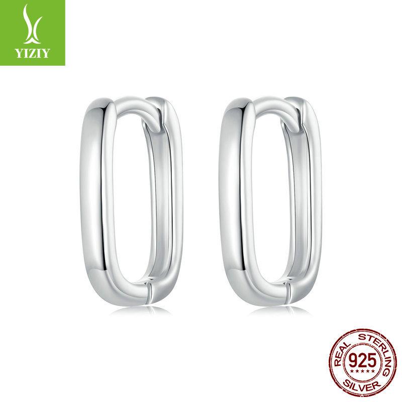 

S925 Sterling Silver Earrings Women S, Personalized High-End Zircon Ring Earrings Jewelry S925 silver